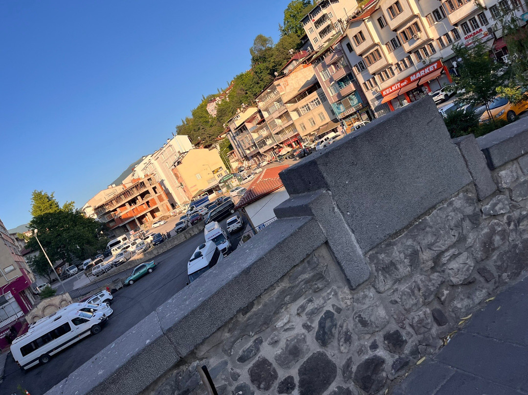 Leylekli Yılanlı Köprü-Niksar必去景点