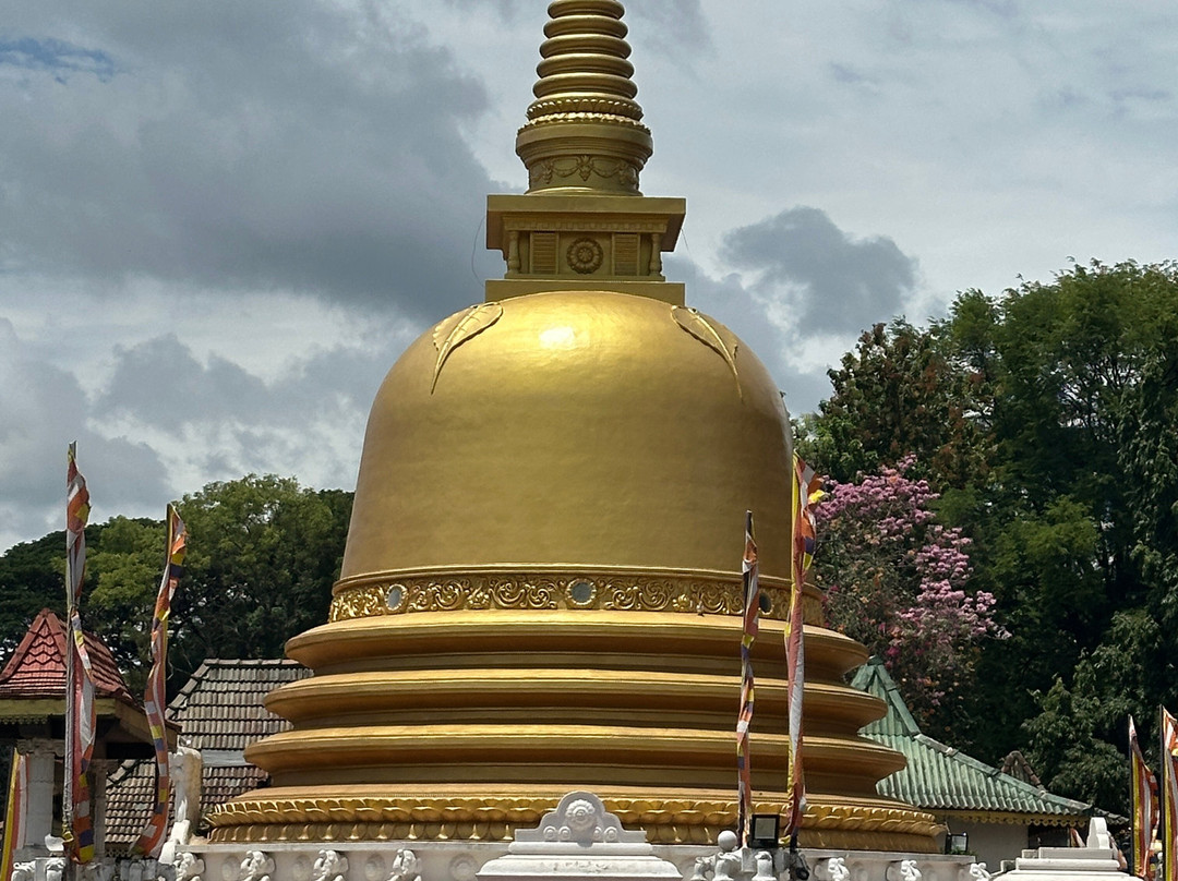 Professor Reisebüro-因都鲁瓦必去景点