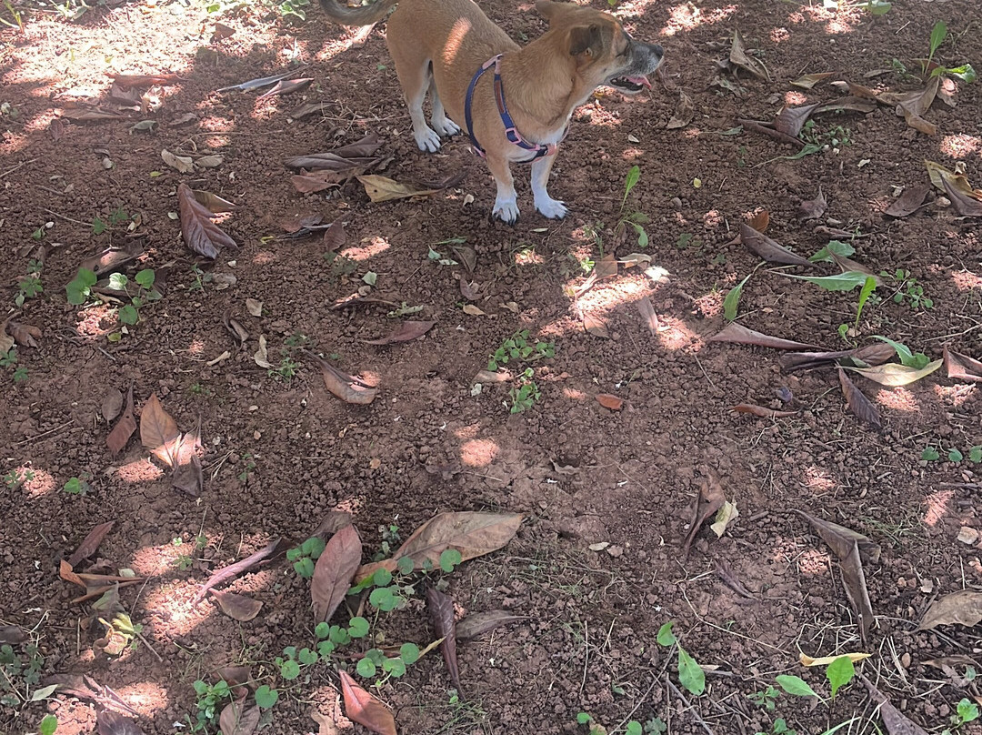 Agriturismo il Podere di Vedelago主图