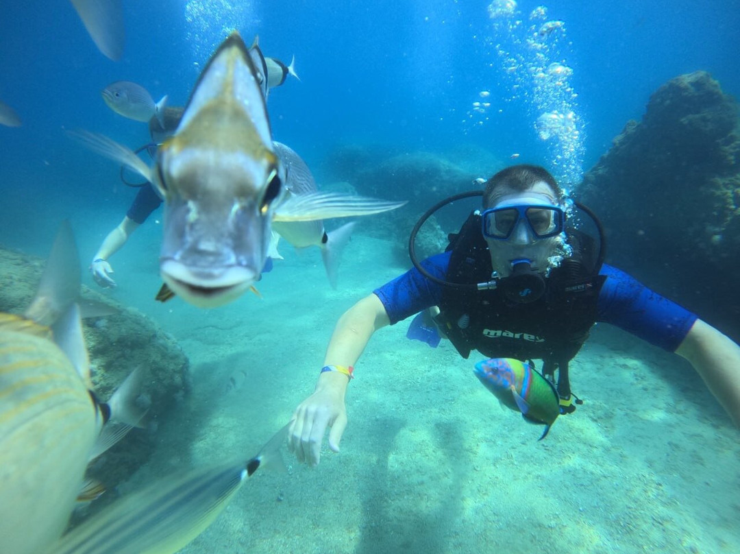 Blue World Diving Center-Tekirova必去景点