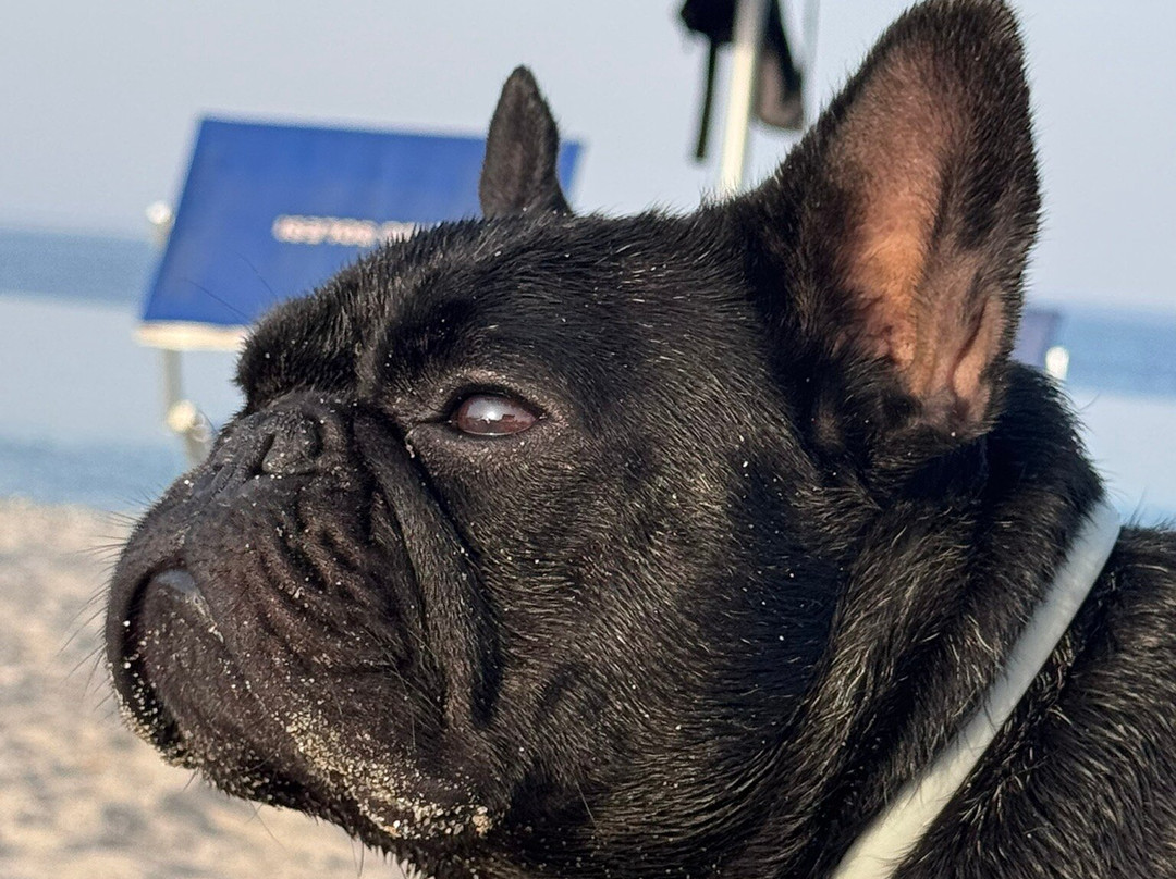 Lido Solesi-Badolato Marina必去景点