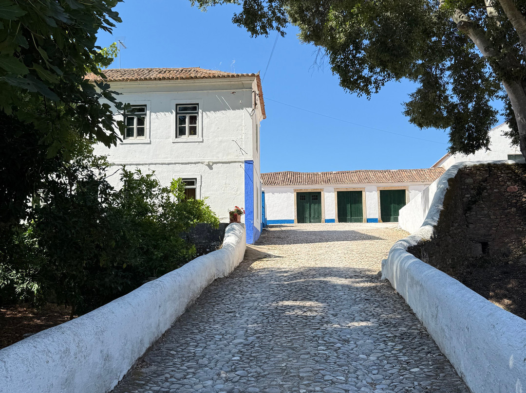Azeite Casa Anadia - Olive Oil & Tours-Abrantes必去景点