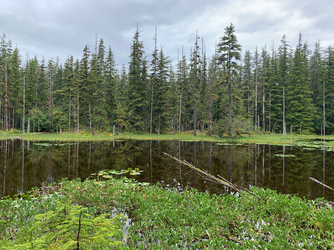 Viking Travel, Inc.-Petersburg必去景点