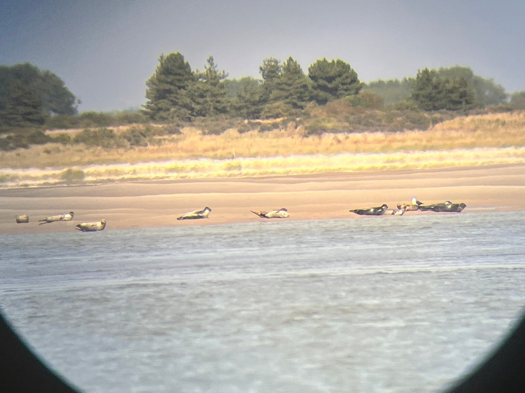 Rando Baie de Somme-Favieres必去景点