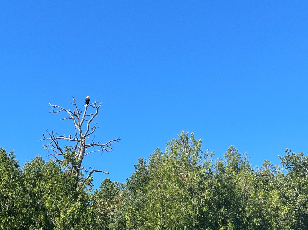 Woods & Waters-Hessel必去景点