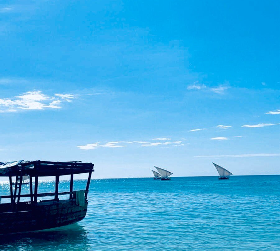 Suley Taxi Driver Zanzibar and Tours-孥归必去景点