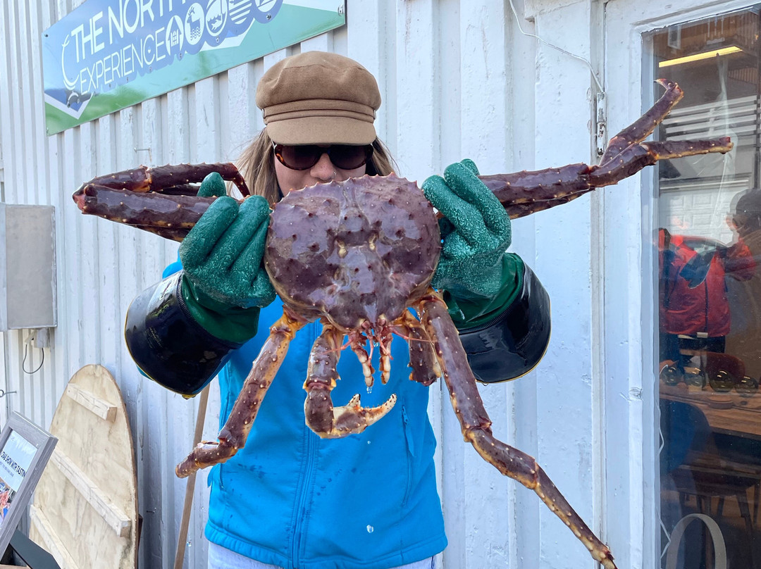 Blue Puffin-霍宁斯沃格必去景点