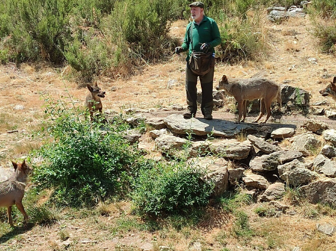 Centro del Lobo Iberico-Puebla de Sanabria必去景点