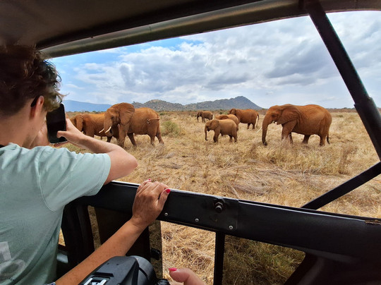 Bongo Safaris.-蒙巴萨必去景点