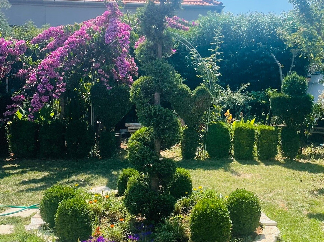 Solmaris Apartments