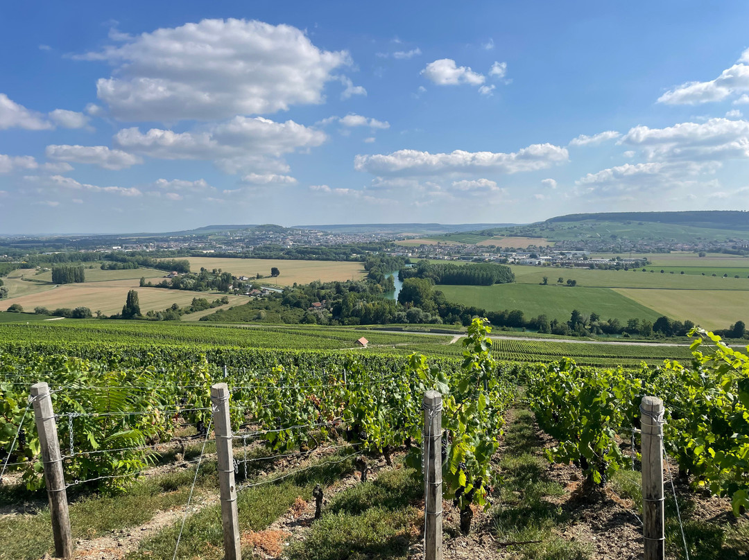 Instants - Exclusive Champagne Tours-兰斯必去景点