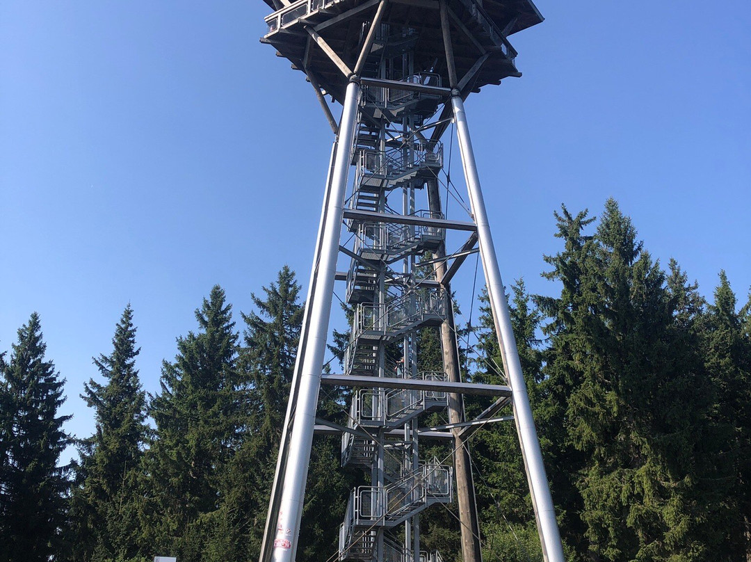 Riesenbühlturm in Schluchsee-施卢赫湖必去景点