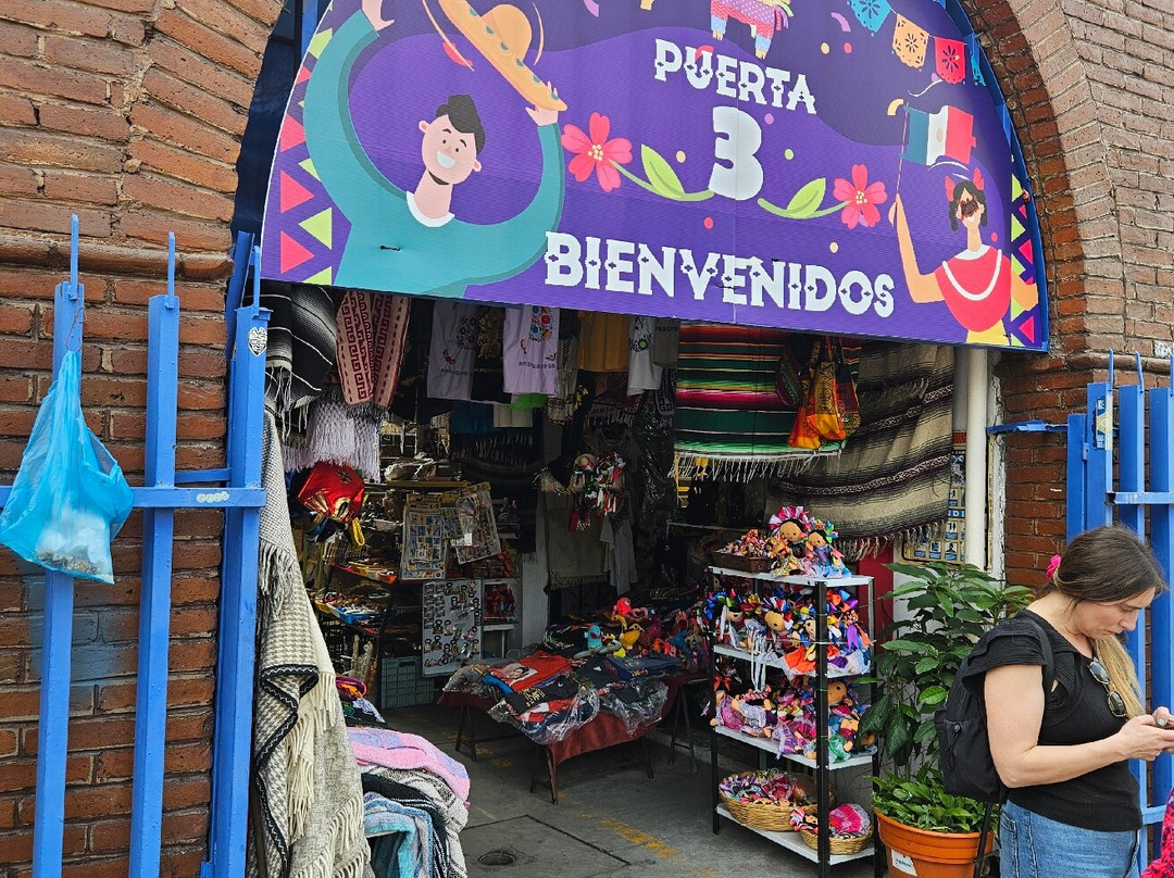 Mercado De Artesanias La Ciudadela-墨西哥城必去景点