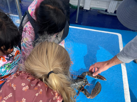 Bantry Bay Charters-Glengarriff必去景点