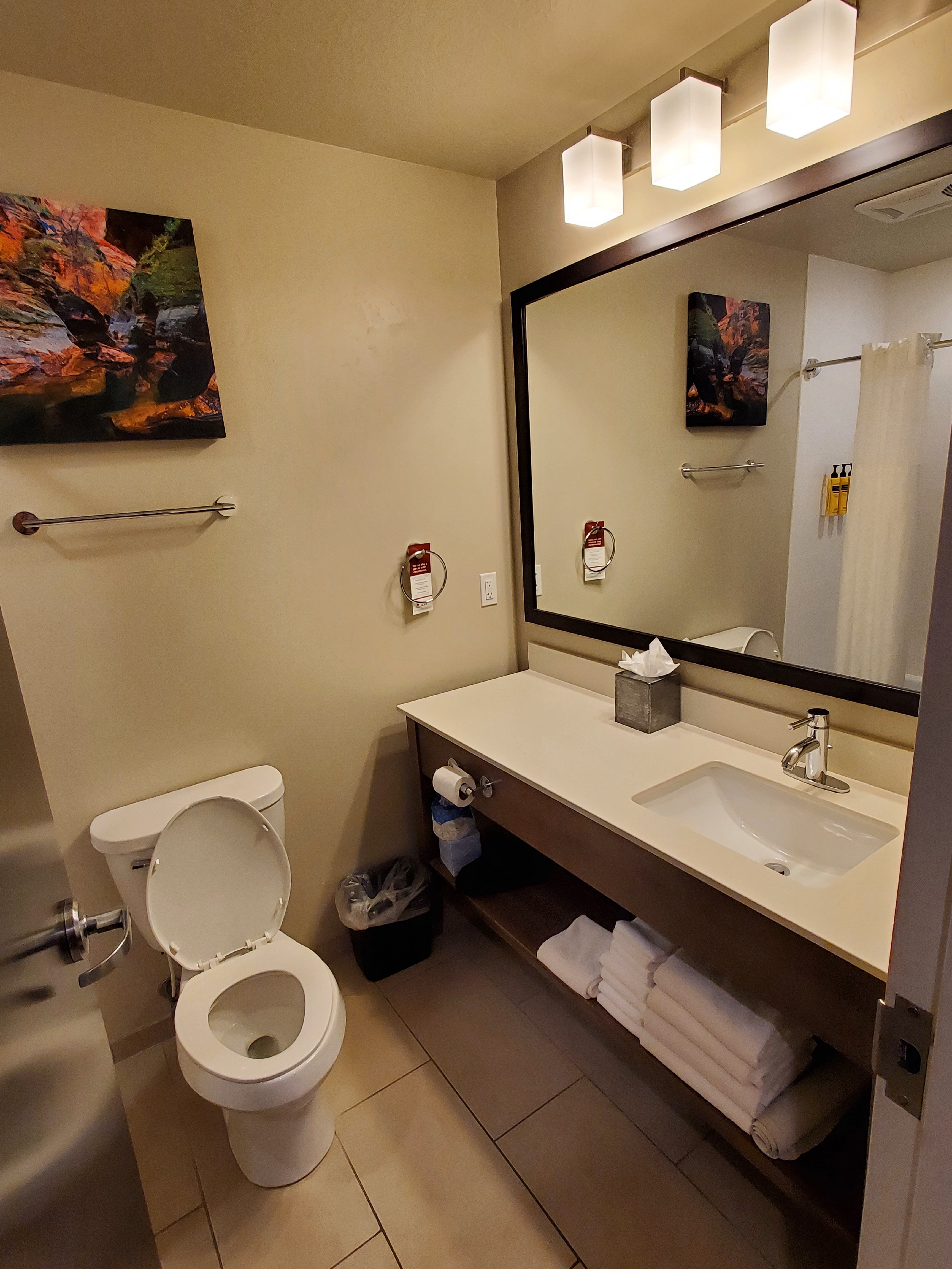 Best Western Plus Zion Canyon Inn & Suites-浴室