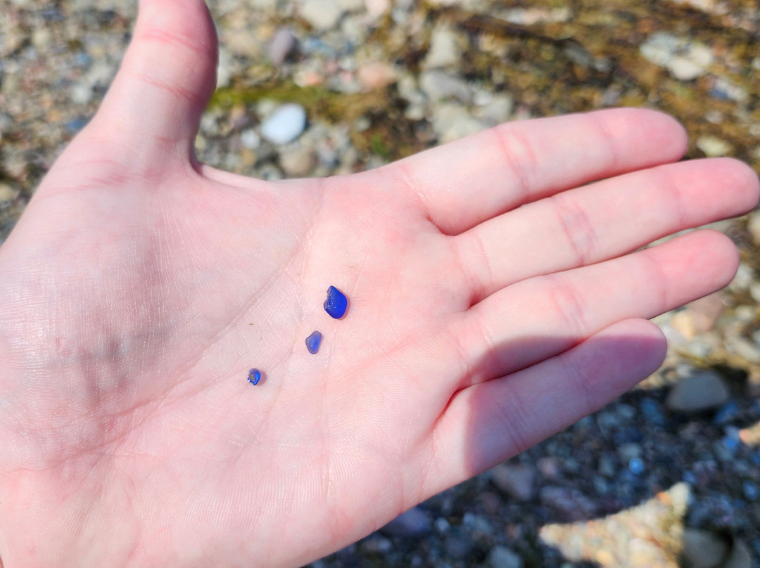 Indian Beach-North Sydney必去景点