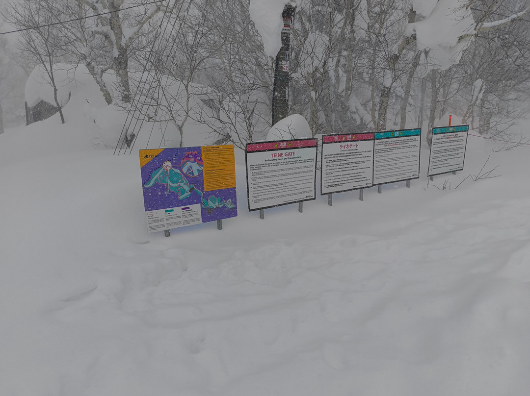 手稻山滑雪场-札幌市必去景点