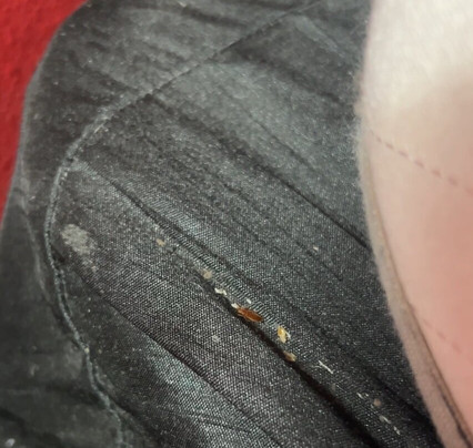 查尔斯湖赌场区温盖特温德姆酒店主图