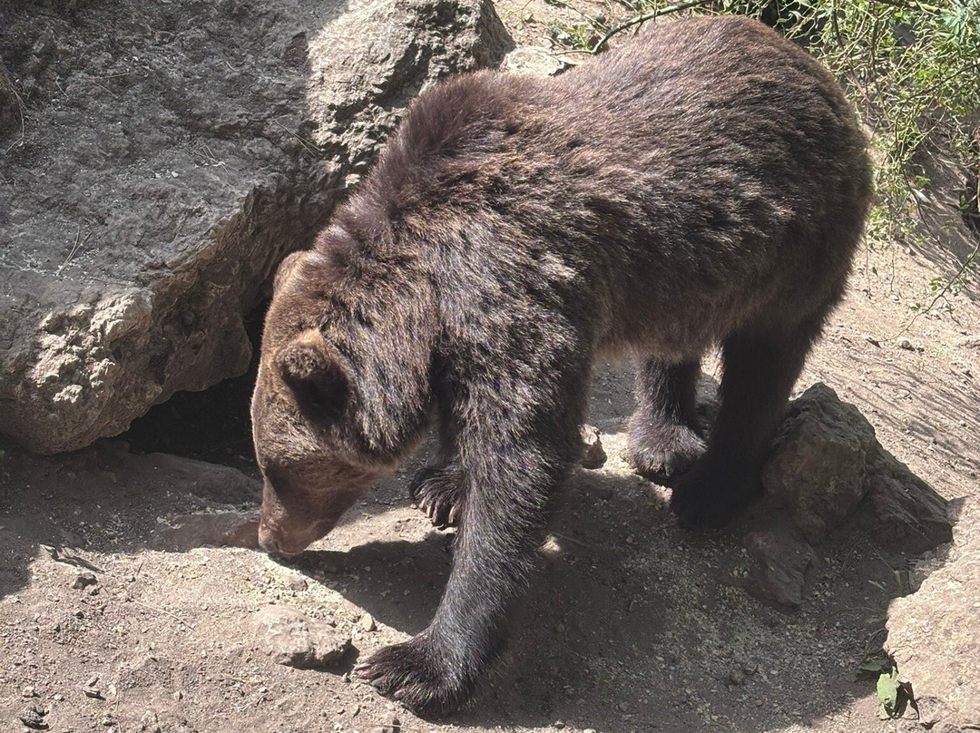 Parque del Hosquillo-拉斯马哈达斯必去景点