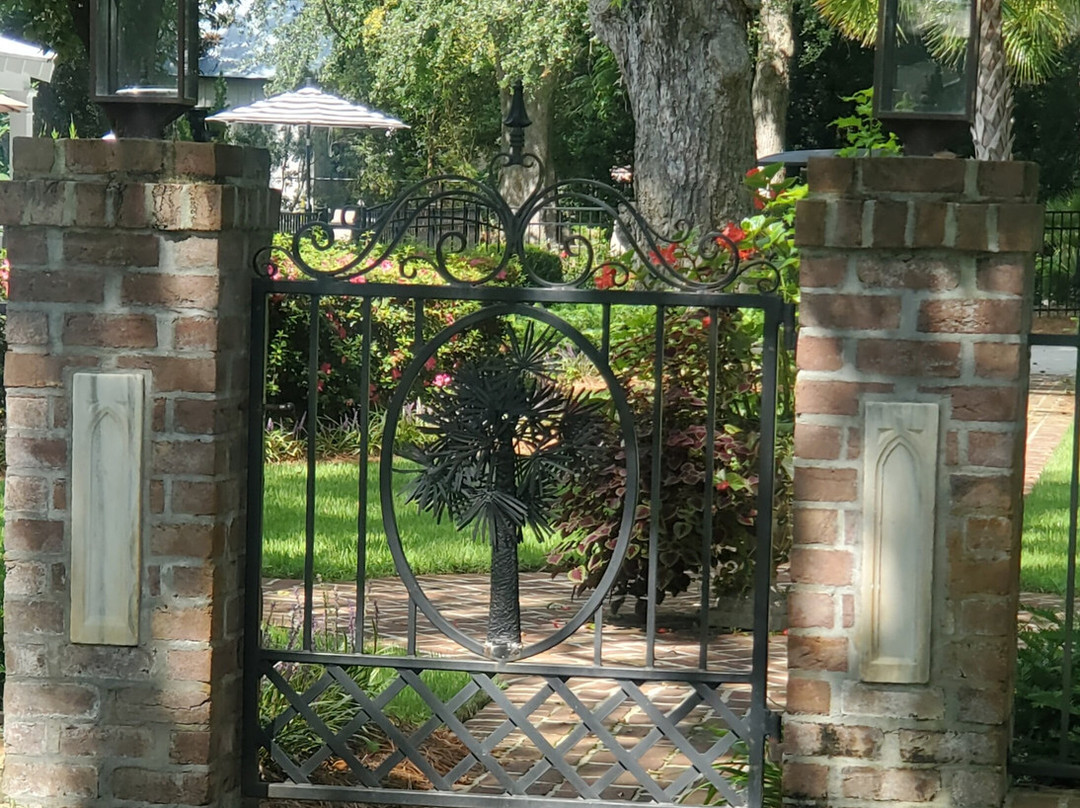 Swamp Fox Tours-乔治敦必去景点