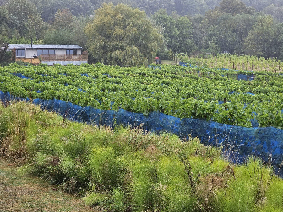 Little Waddon Vineyard-Waddon必去景点