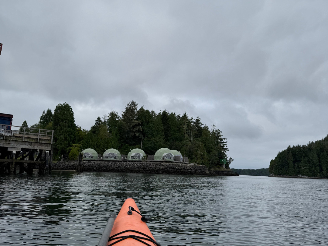 Tofino Sea Kayaking Day Tours-托菲诺必去景点