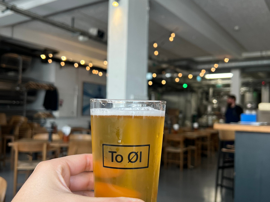 Foods of Copenhagen-哥本哈根必去景点