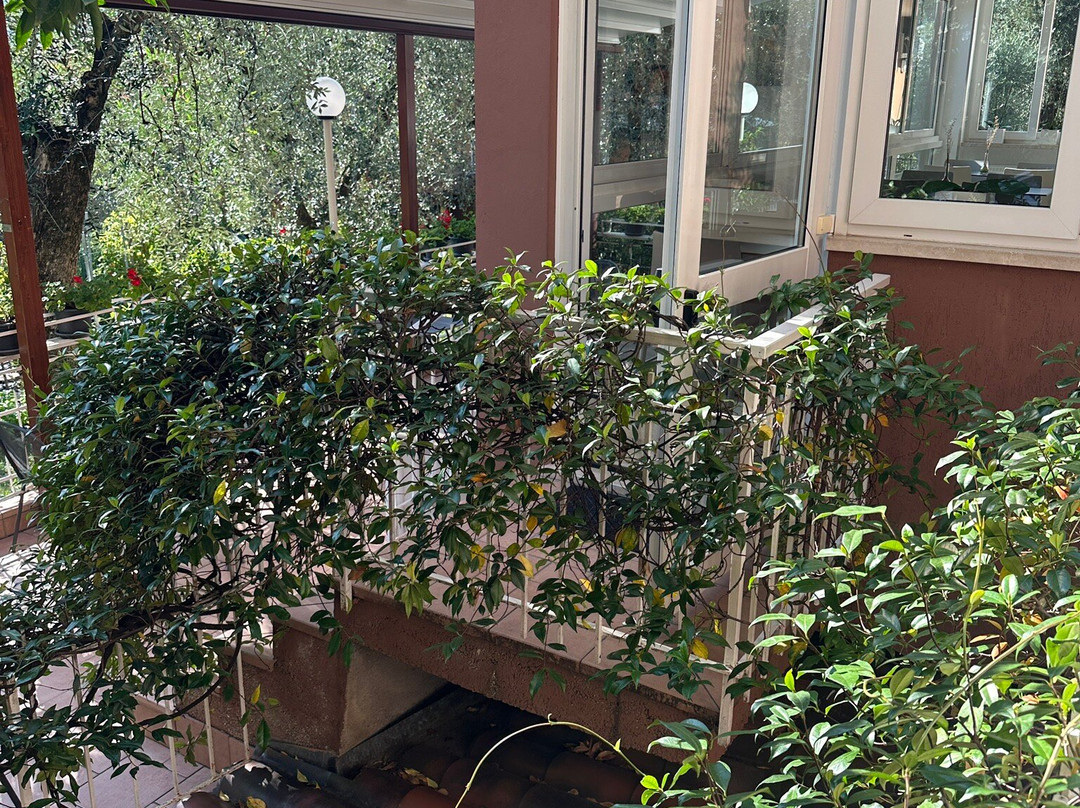 Hotel Garni Ischia主图