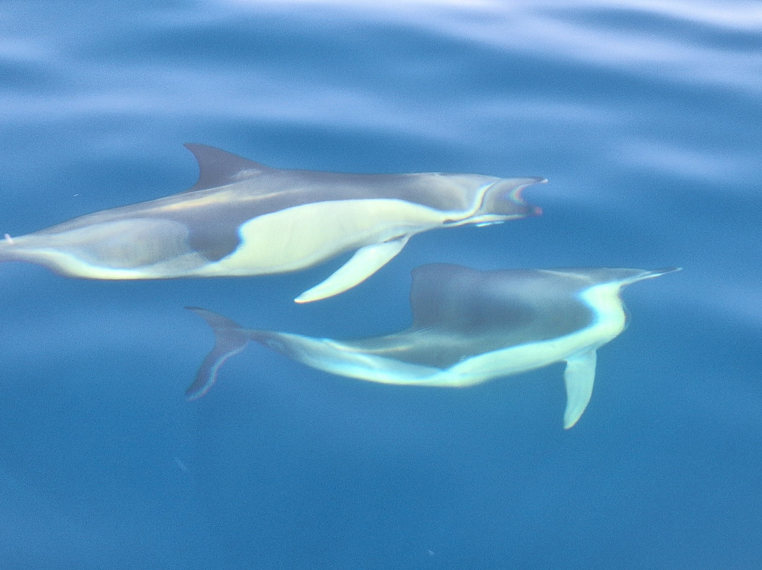 Flagman Service-Ormos Marathokampou必去景点