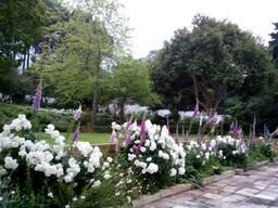 Constantia Nek-Cape Peninsula National Park必去景点