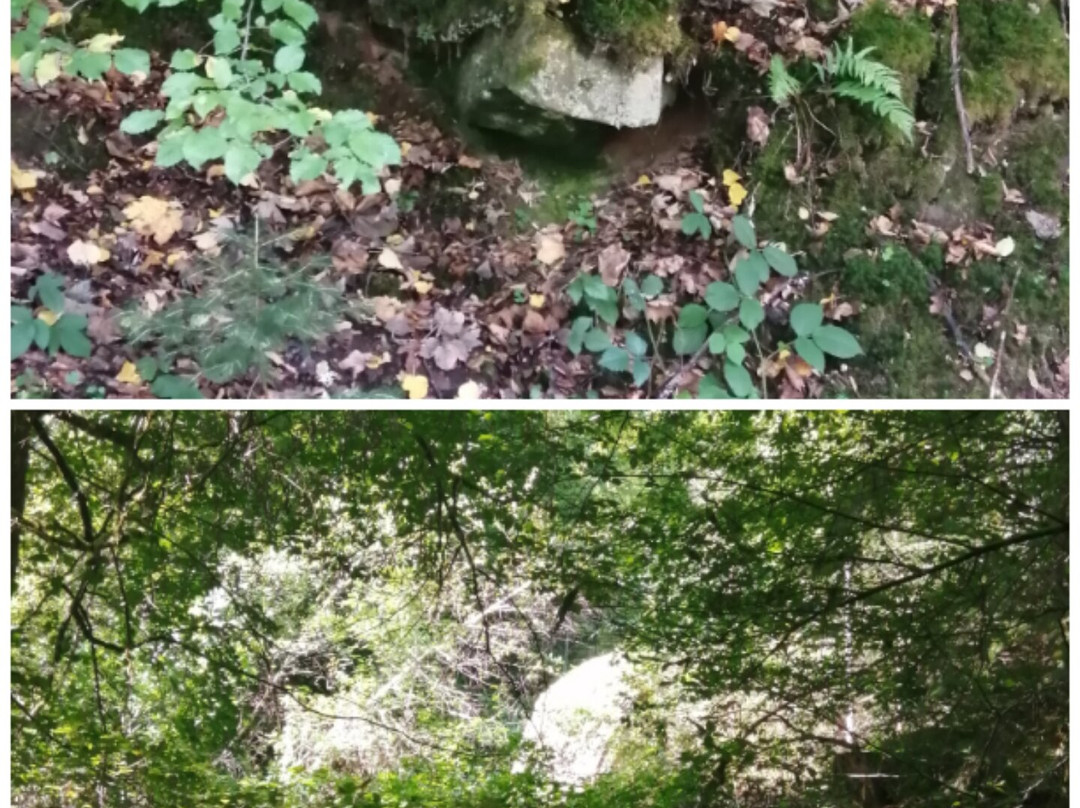 Karlstalschlucht-Trippstadt必去景点