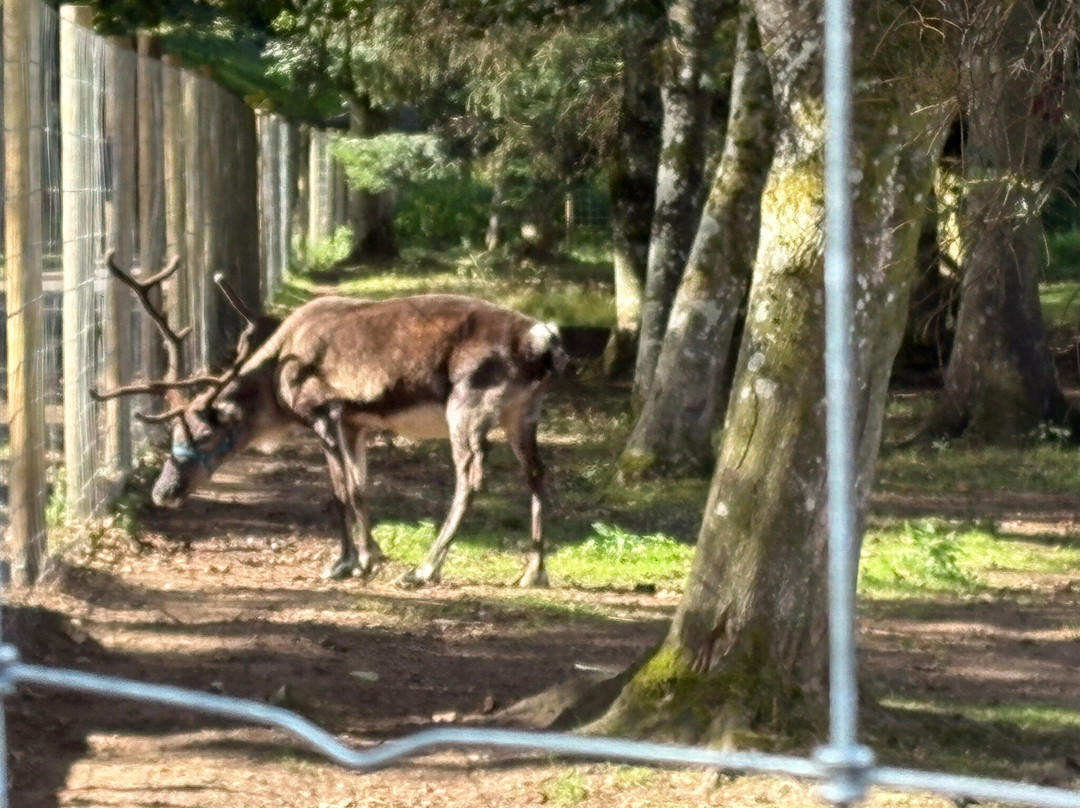 Blair Drummond Safari And Adventure Park-斯特灵必去景点