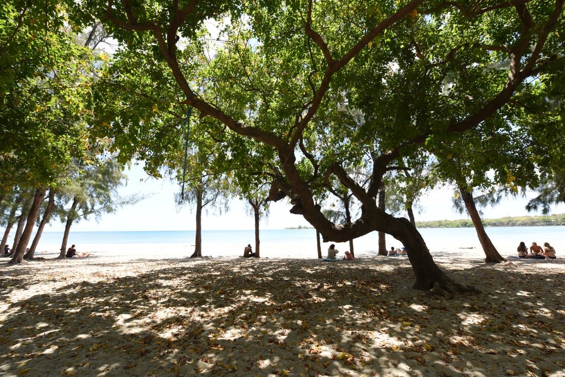 塔玛琳酒店-泳池