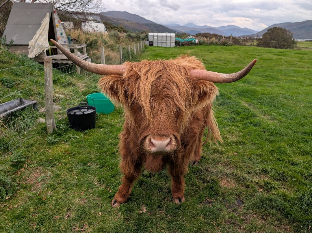Lochbroom Highlanders