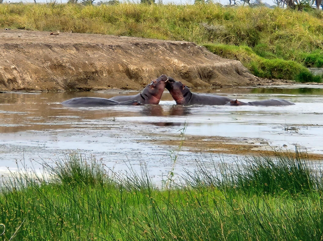 Mokimoh Adventure Tanzania-Dar es Salaam必去景点