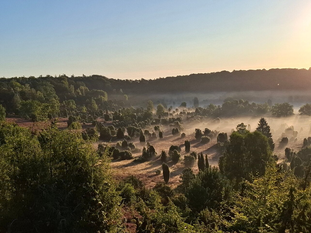 Lüeneburger Heide-吕讷堡必去景点