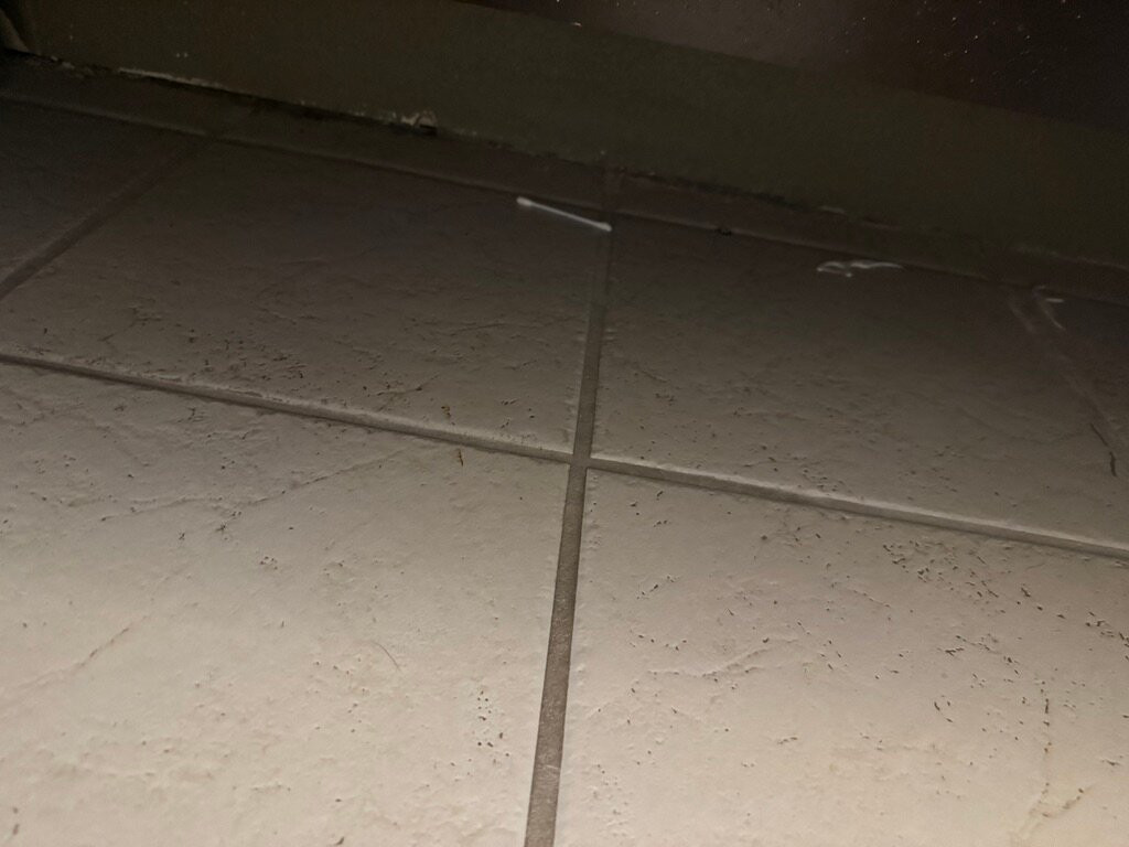 探险旅馆埃斯蒂斯公园主图