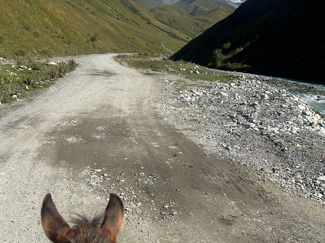 Horse rentals in Ushguli-Ushguli必去景点