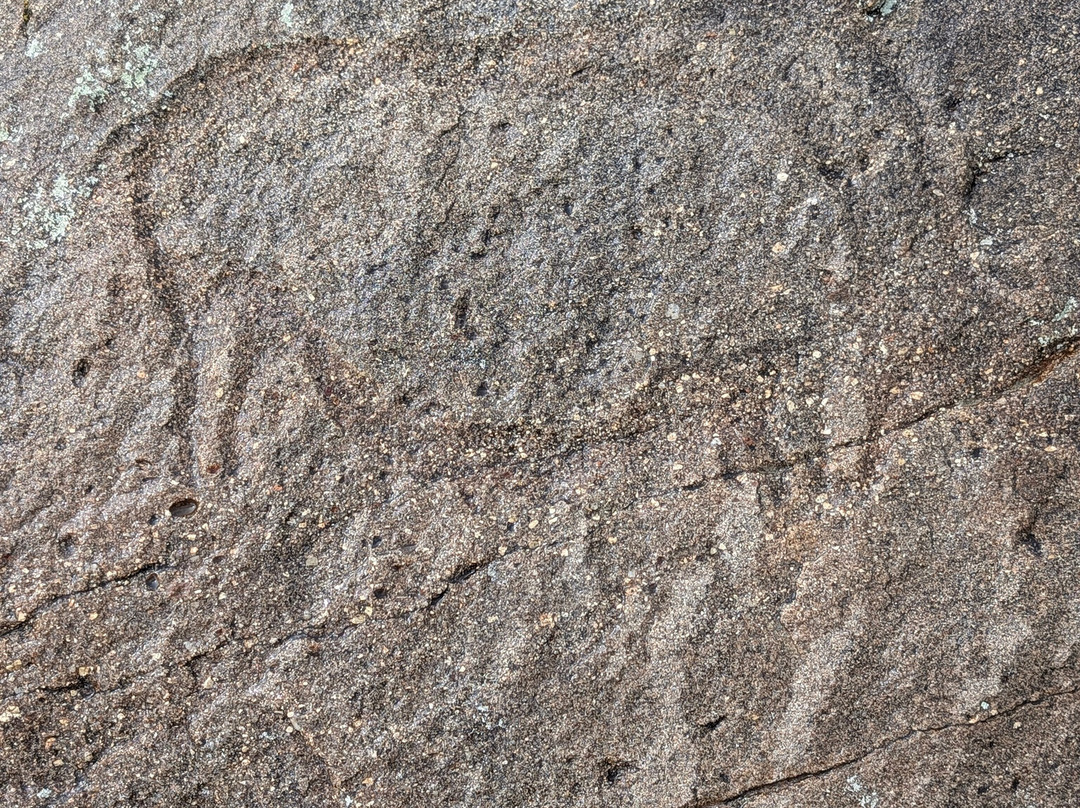 U-Adventures Tours & Expeditions-乌兰巴托必去景点