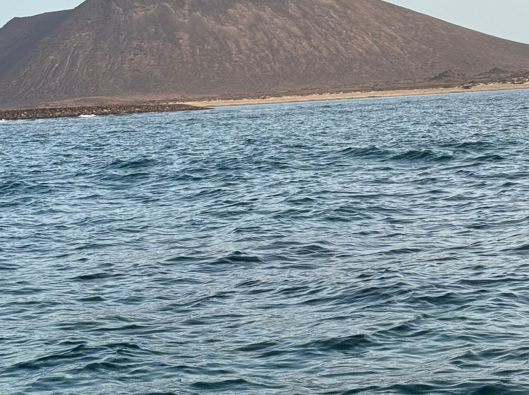 Corralejo Charter and Fishing-科拉雷侯必去景点
