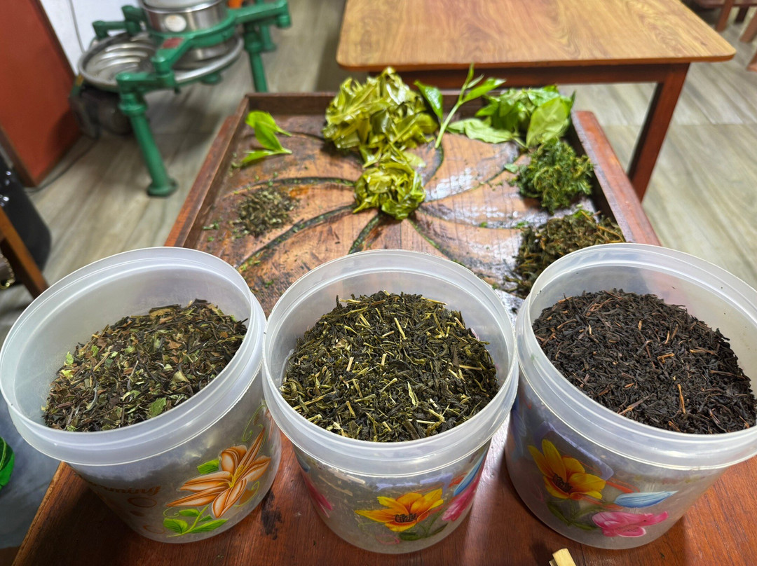 Ella Organic Tea Garden-Heeloya必去景点