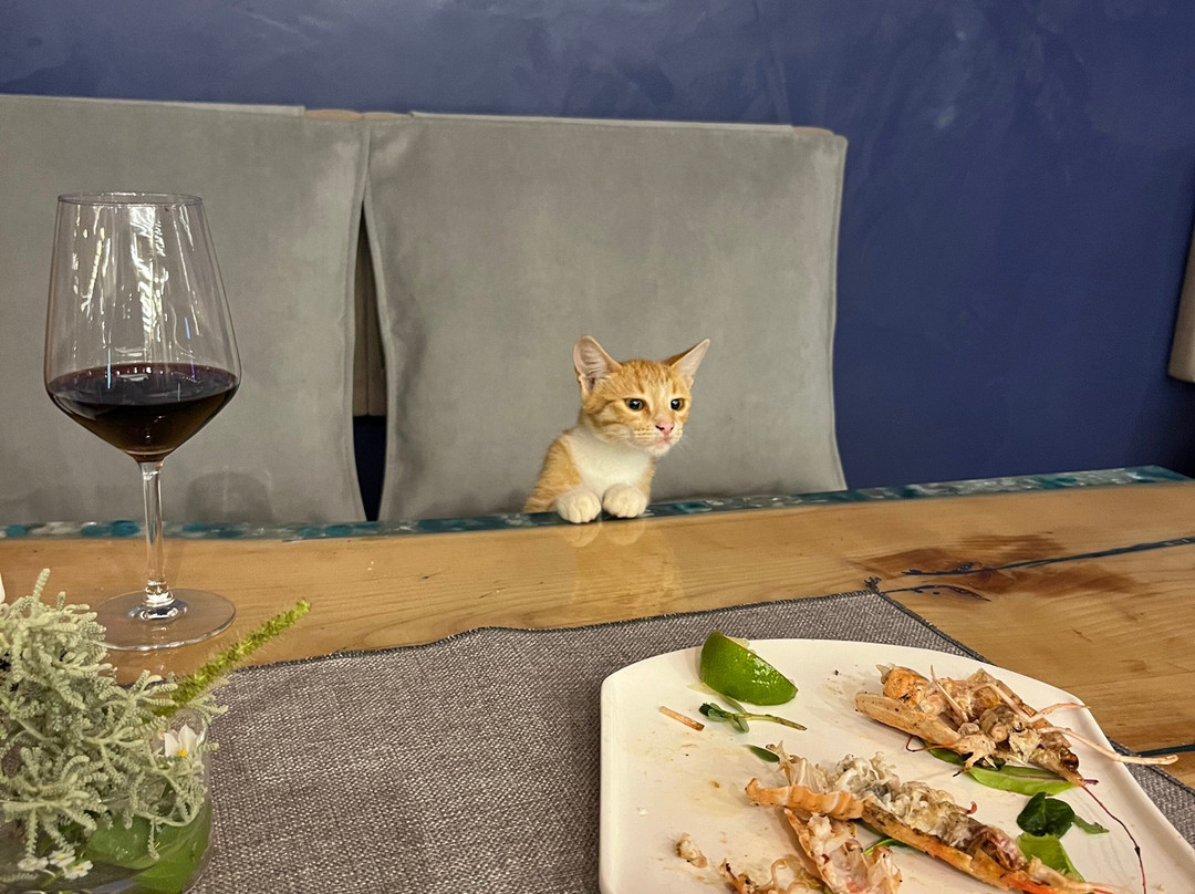 Cape Of Rodon Resort-杜勒斯必去景点