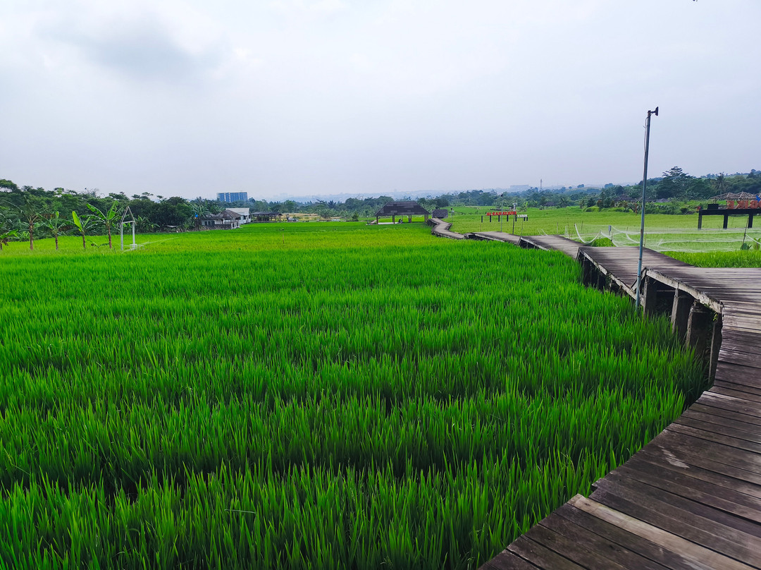 Travalcore Tour-雅加达必去景点