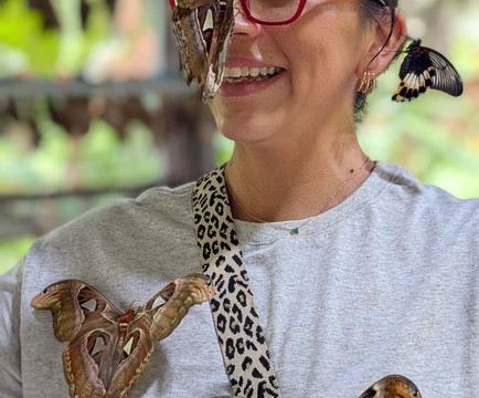 Ubud Tour Driver - Rahde-吉安雅必去景点