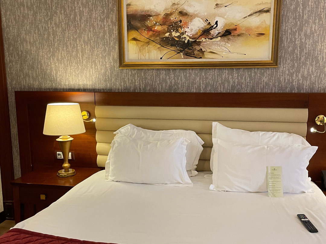 Wellborn Luxury Hotel主图