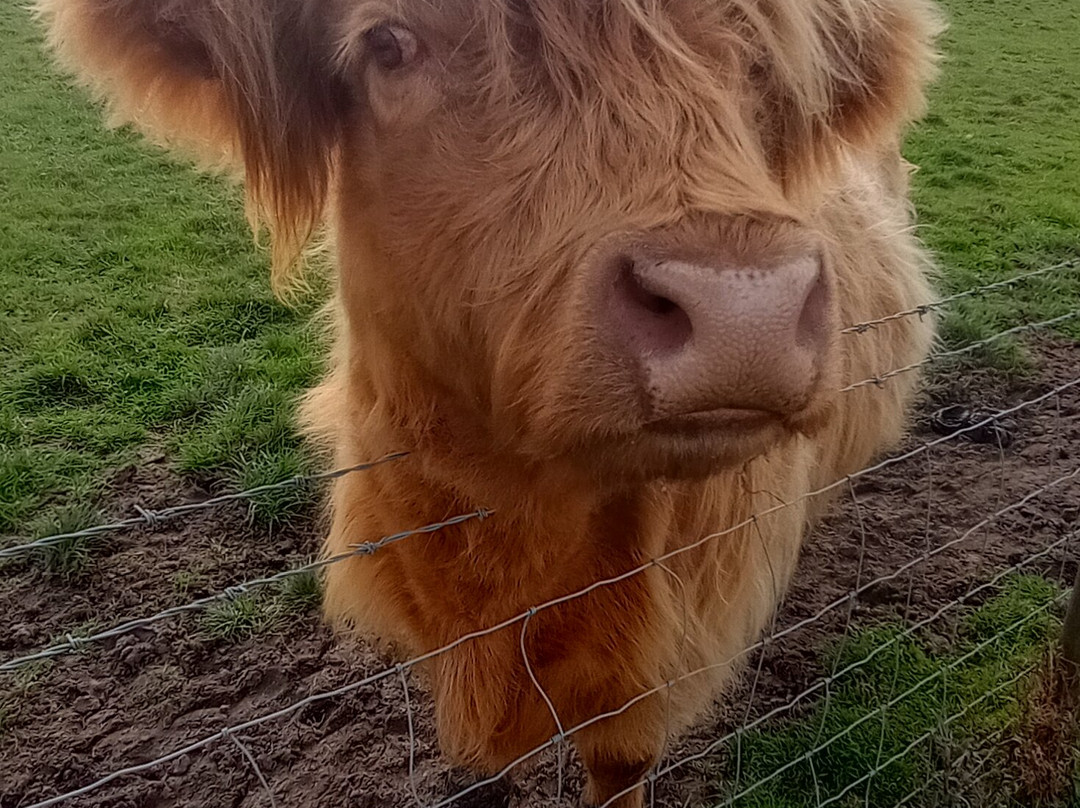 Grange Farm-Lowton必去景点