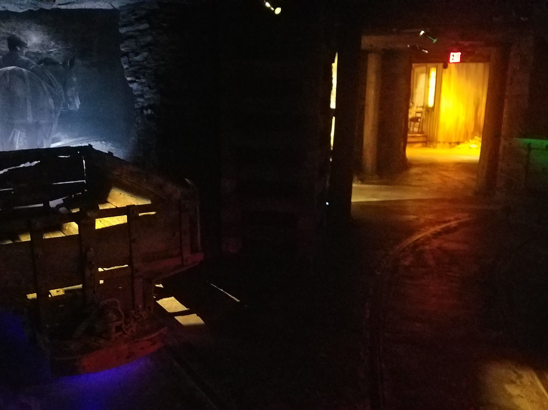 西弗吉尼亚州博物馆-查尔斯顿必去景点