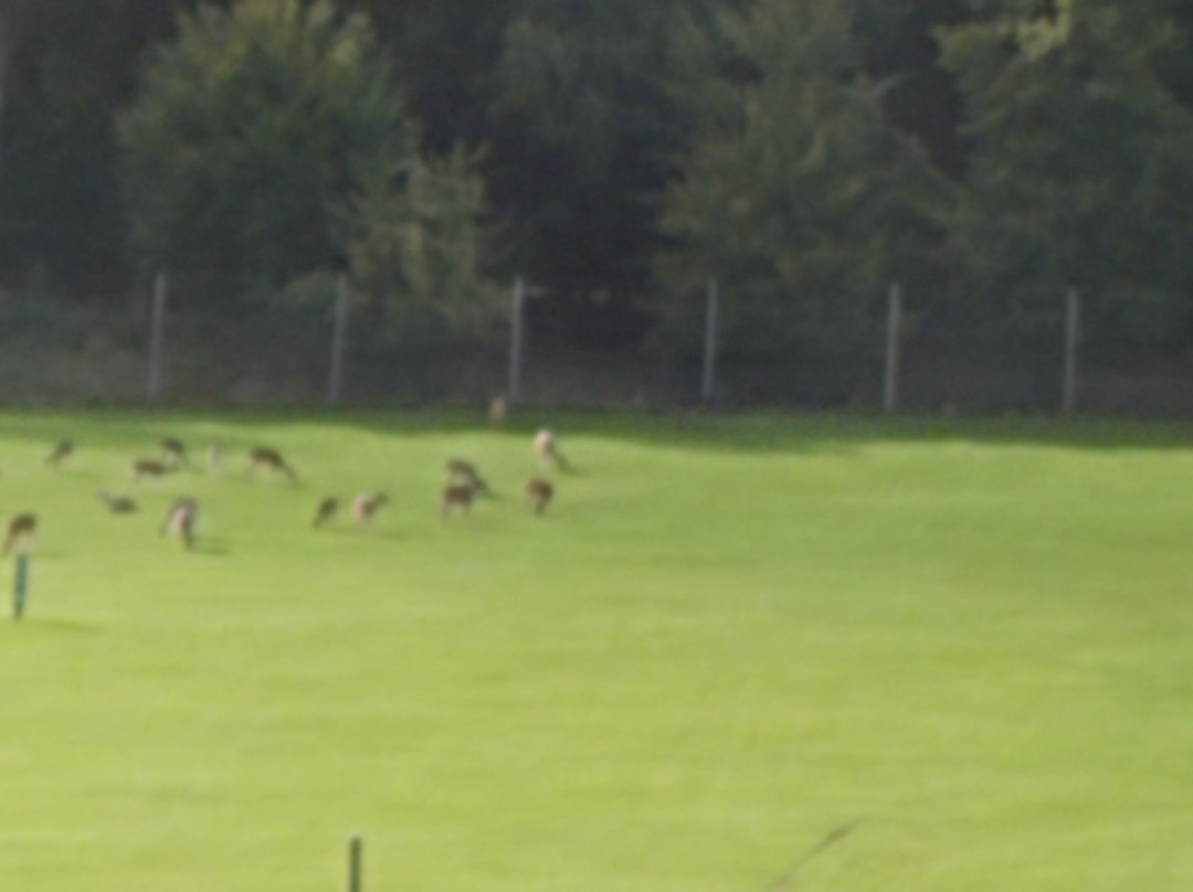 博伍德SPA和高尔夫度​​假酒店主图