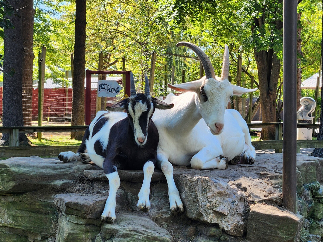 Wisconsin Deer Park-威斯康星峡谷必去景点