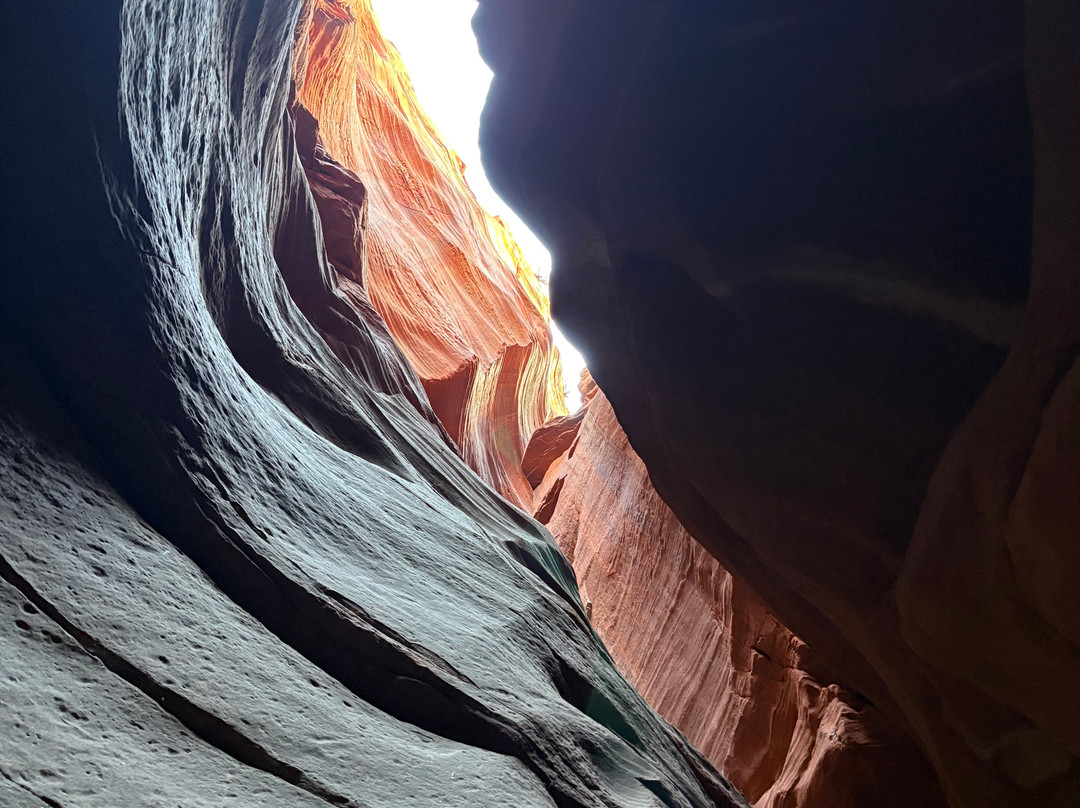 ROAM East Zion-锡安国家公园必去景点